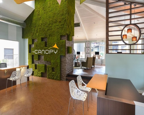 Canopy Apartments DST